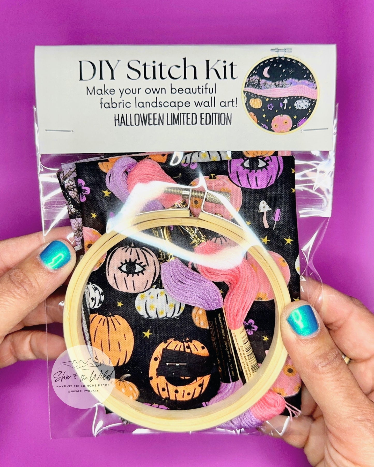 Halloween Stitch Kit for Beginenrs